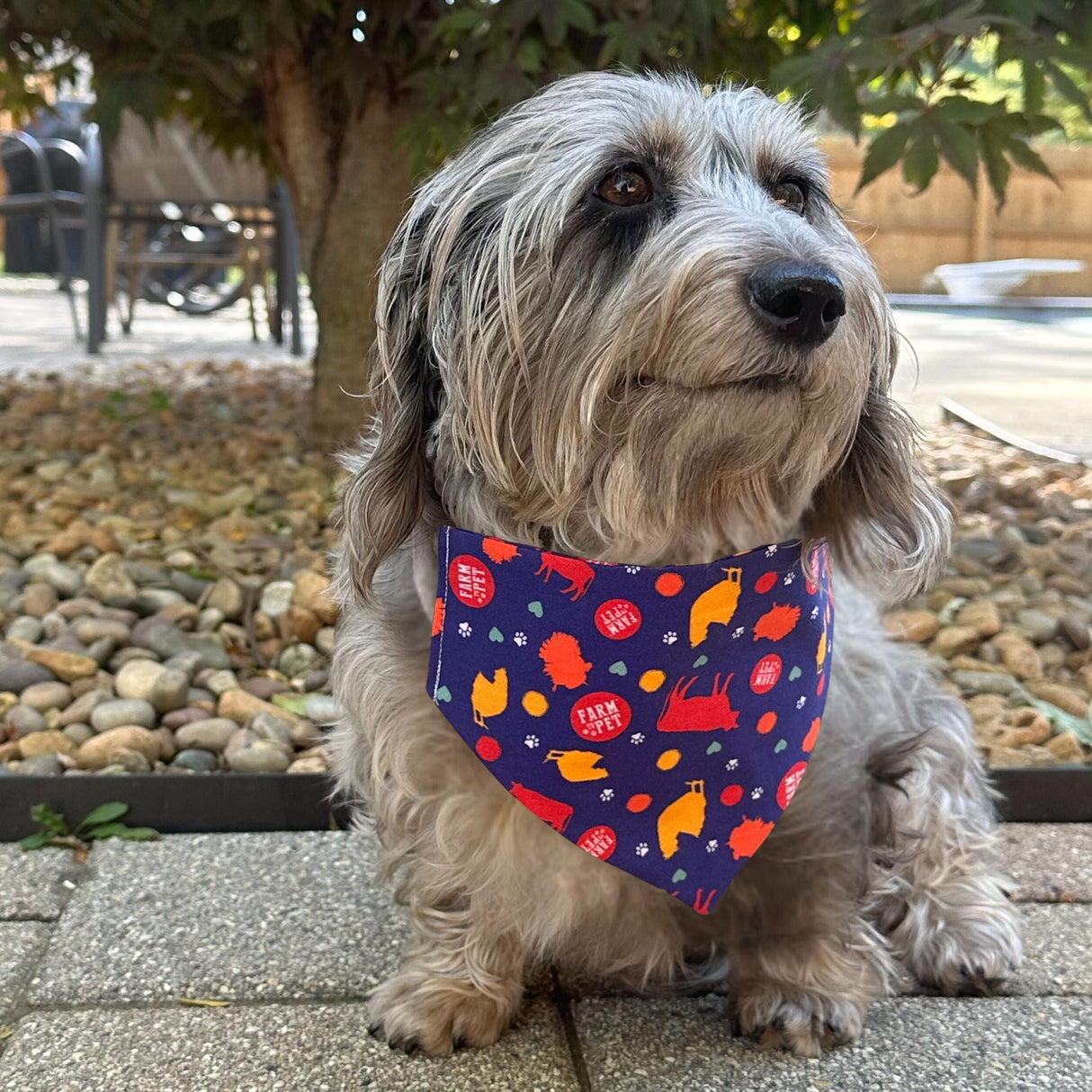 Tie-on Dog Bandana | Adjustable String-tie Bandana for Dogs and Cats from Farm To Pet
