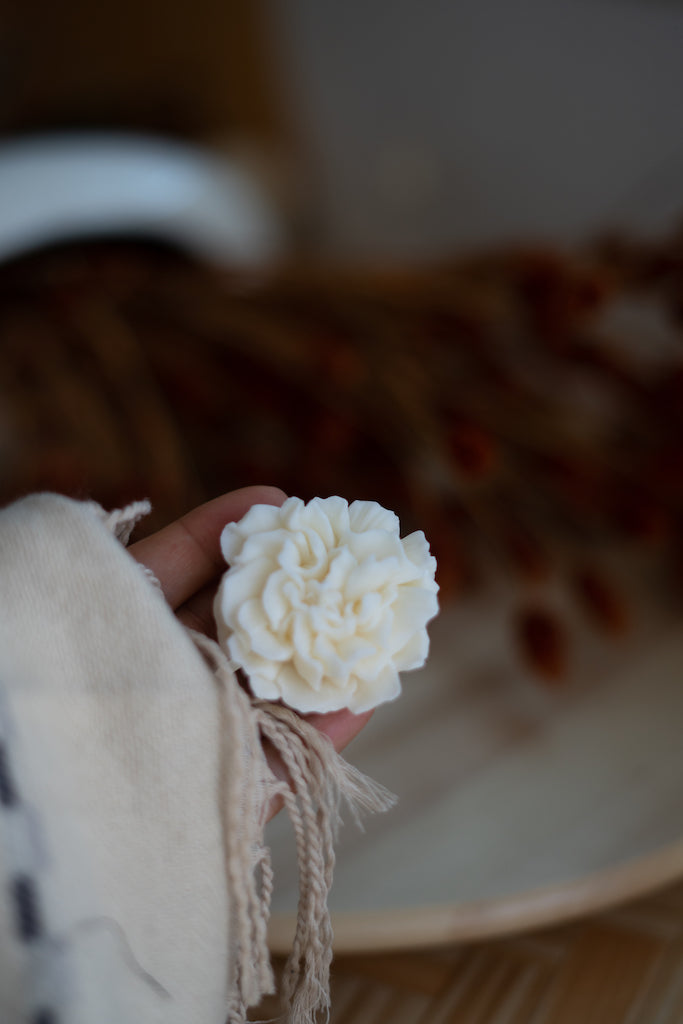 Isabel Carnation Flower Candle Collection From Shop Restyled