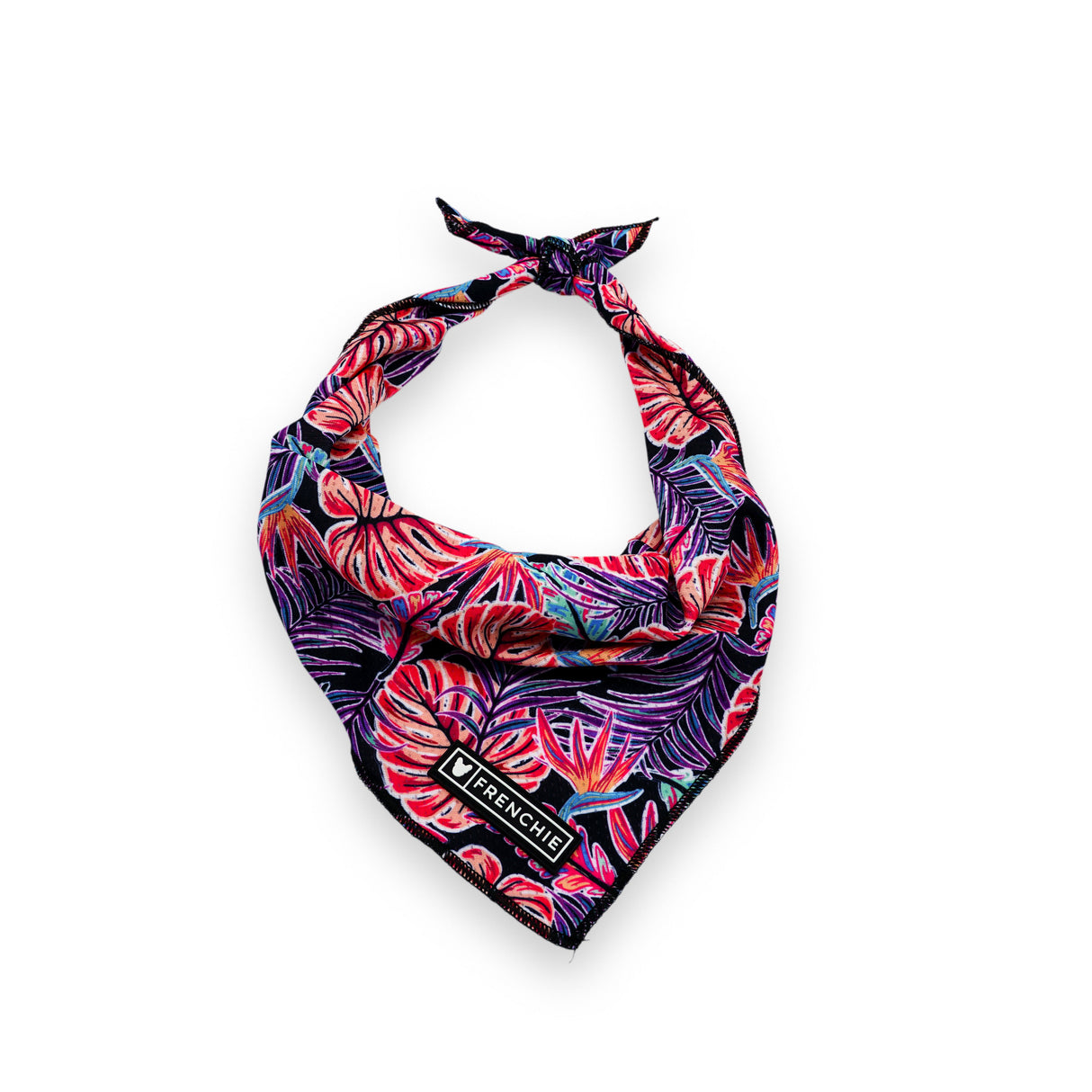 Frenchie Cooling Bandana - Tropical Palms from Frenchie Bulldog