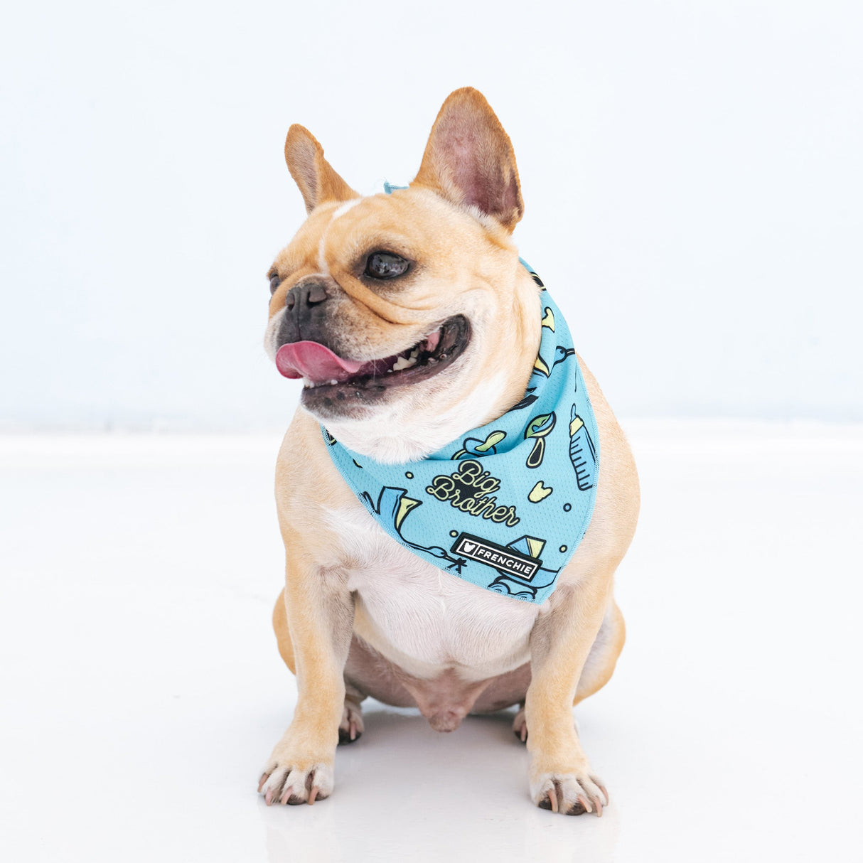 Frenchie Cooling Bandana - Big Brother from Frenchie Bulldog