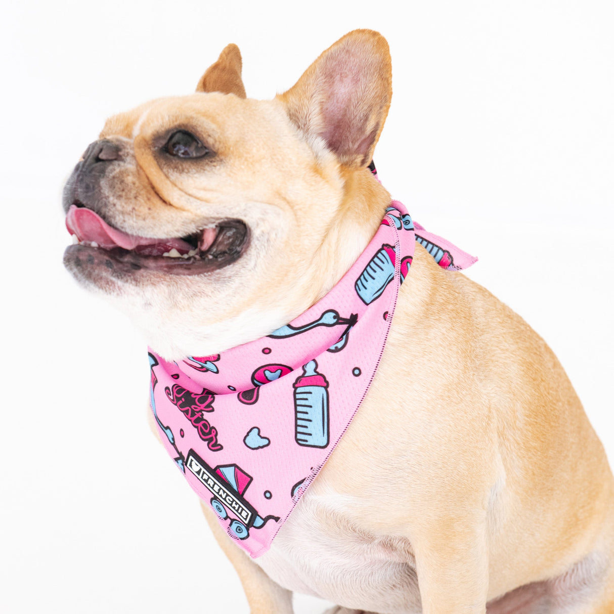 Frenchie Cooling Bandana - Big Sister from Frenchie Bulldog