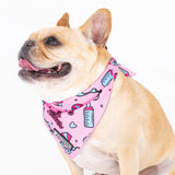 Frenchie Cooling Bandana - Big Sister from Frenchie Bulldog
