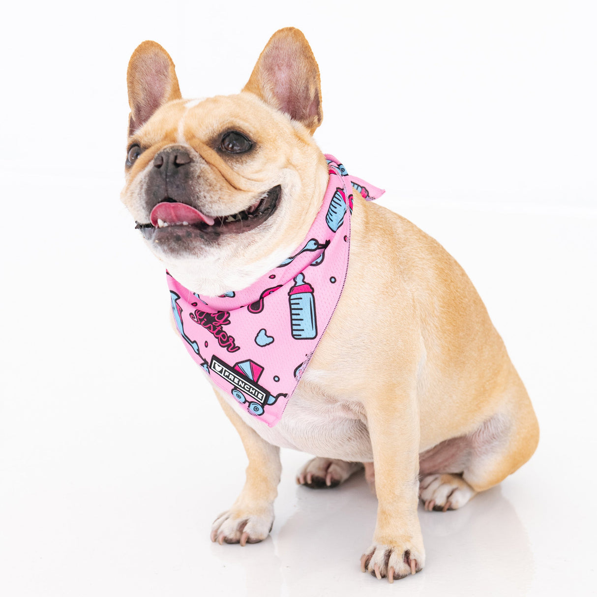 Frenchie Cooling Bandana - Big Sister from Frenchie Bulldog
