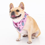 Frenchie Cooling Bandana - Big Sister from Frenchie Bulldog
