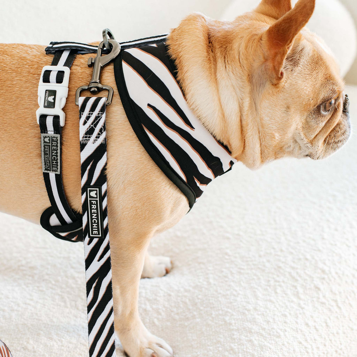 Frenchie Duo Reversible Harness - Zebra from Frenchie Bulldog