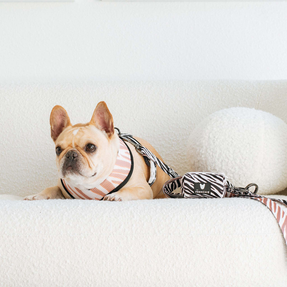Frenchie Poo Bag Holder - Zebra from Frenchie Bulldog
