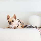 Frenchie Poo Bag Holder - Zebra from Frenchie Bulldog