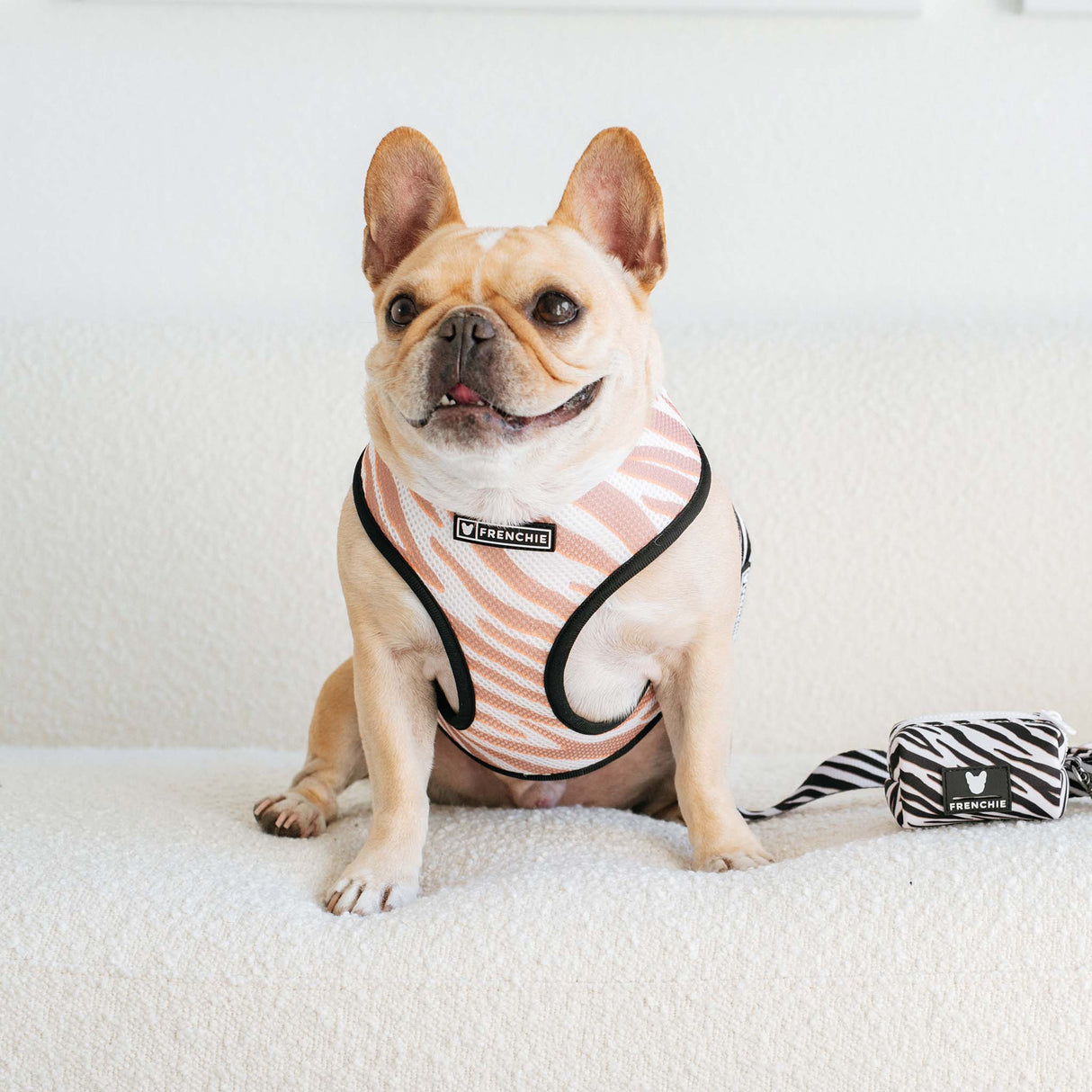 Frenchie Duo Reversible Harness - Zebra from Frenchie Bulldog
