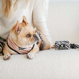 Frenchie Poo Bag Holder - Zebra from Frenchie Bulldog