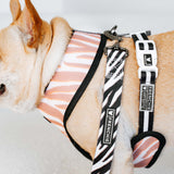 Frenchie Duo Reversible Harness - Zebra from Frenchie Bulldog