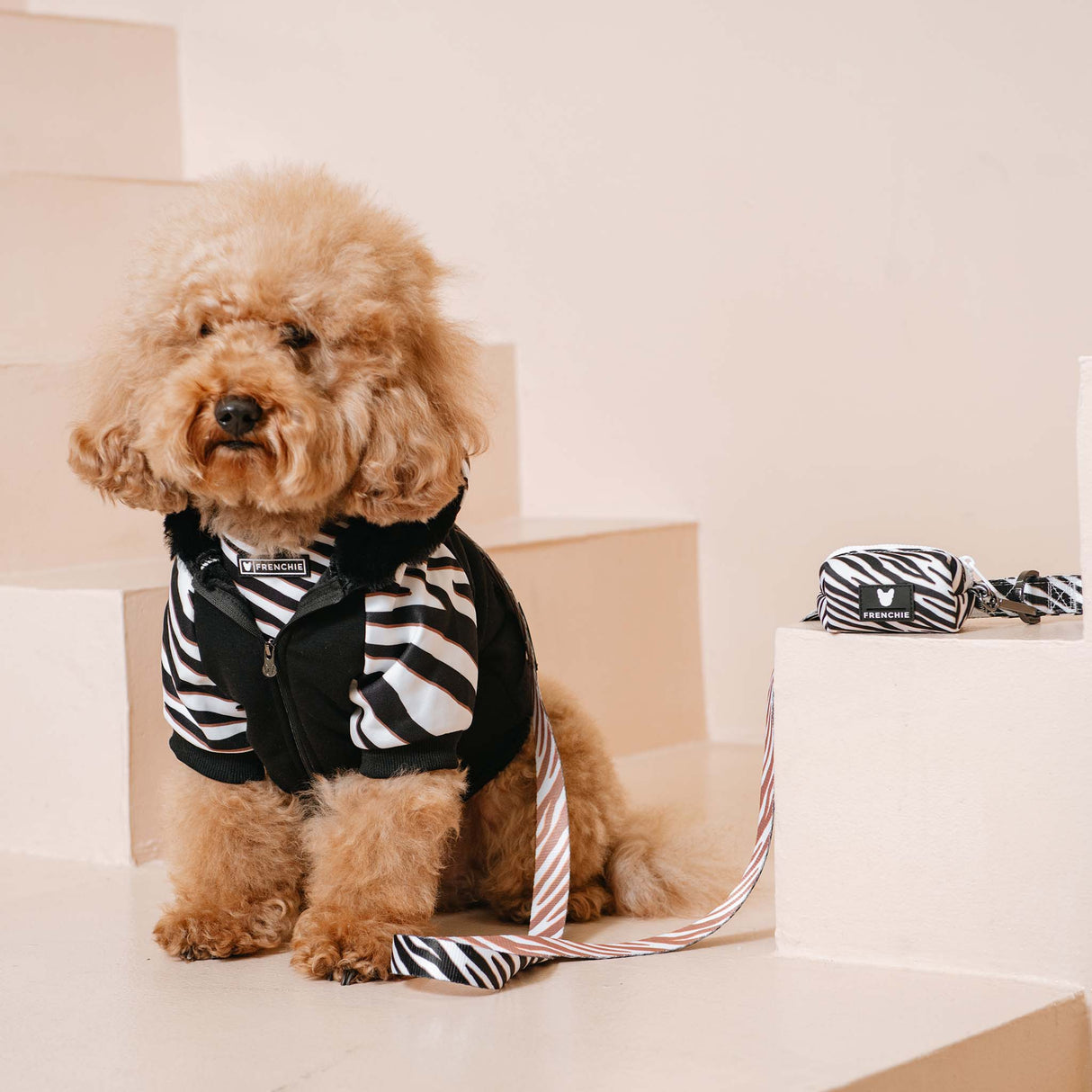 Frenchie Dog Hoodie - Zebra from Frenchie Bulldog