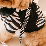 Frenchie Dog Hoodie - Zebra from Frenchie Bulldog