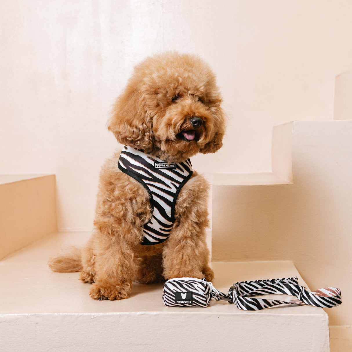 Frenchie Duo Reversible Harness - Zebra from Frenchie Bulldog