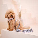 Frenchie Duo Reversible Harness - Zebra from Frenchie Bulldog