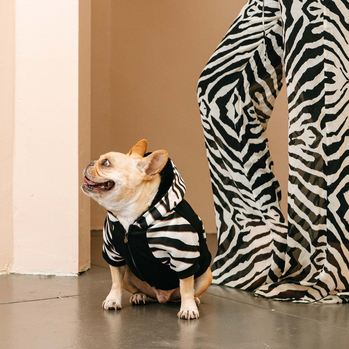 Frenchie Dog Hoodie - Zebra from Frenchie Bulldog