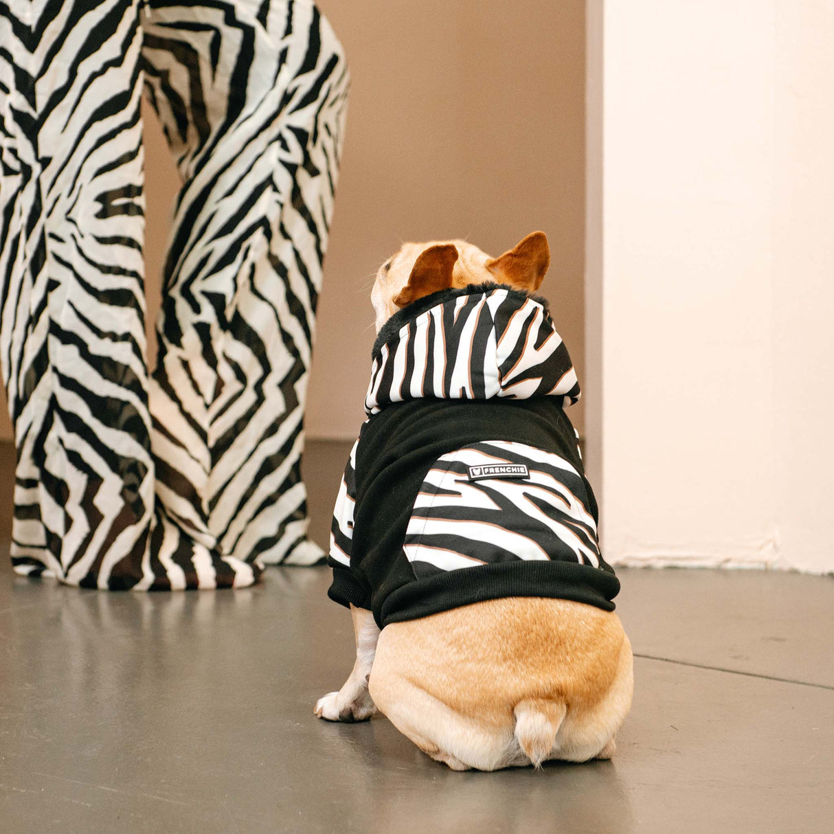 Frenchie Dog Hoodie - Zebra from Frenchie Bulldog