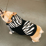 Frenchie Dog Hoodie - Zebra from Frenchie Bulldog