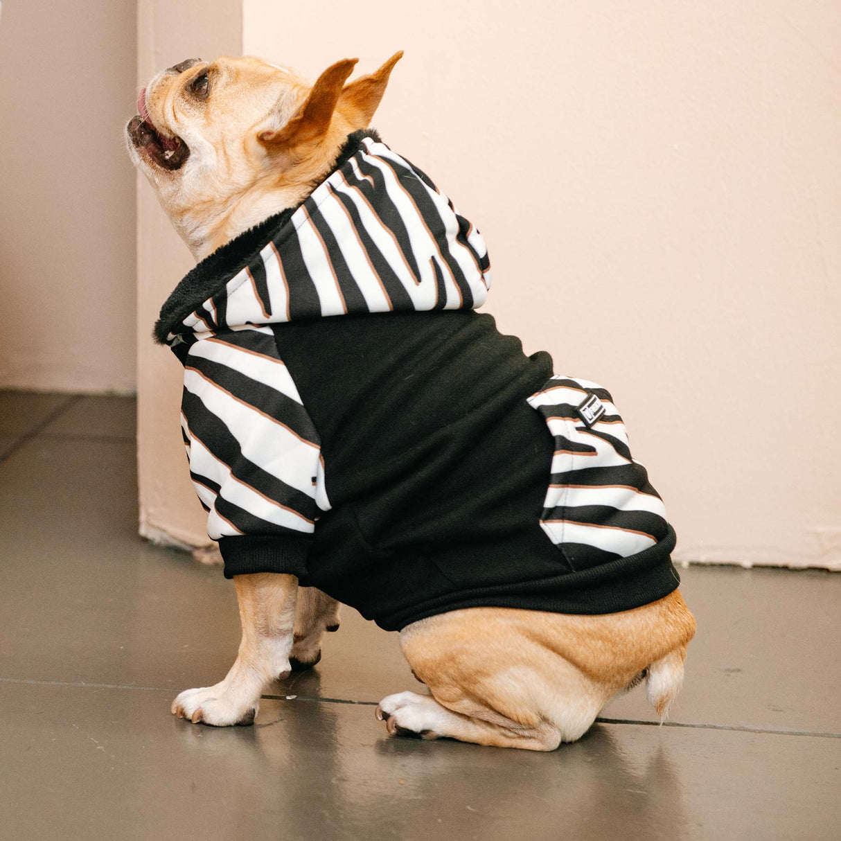 Frenchie Dog Hoodie - Zebra from Frenchie Bulldog