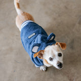 Frenchie Dog Hoodie - Blue Teddy from Frenchie Bulldog