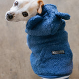 Frenchie Dog Hoodie - Blue Teddy from Frenchie Bulldog