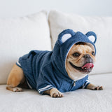 Frenchie Dog Hoodie - Blue Teddy from Frenchie Bulldog