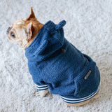 Frenchie Dog Hoodie - Blue Teddy from Frenchie Bulldog