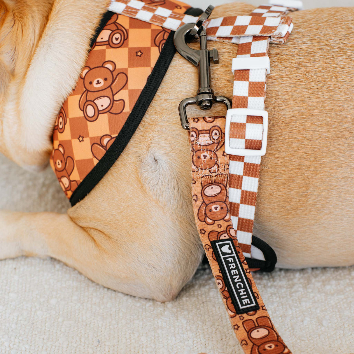 Frenchie Comfort Leash - Teddy Bear from Frenchie Bulldog