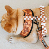 Frenchie Duo Reversible Harness - Teddy Bear from Frenchie Bulldog