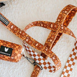 Frenchie Comfort Leash - Teddy Bear from Frenchie Bulldog