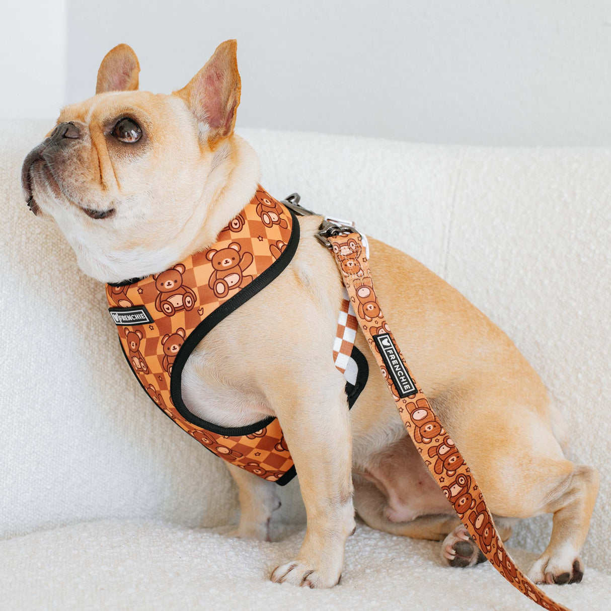 Frenchie Duo Reversible Harness - Teddy Bear from Frenchie Bulldog