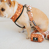 Frenchie Poo Bag Holder - Teddy Bear from Frenchie Bulldog