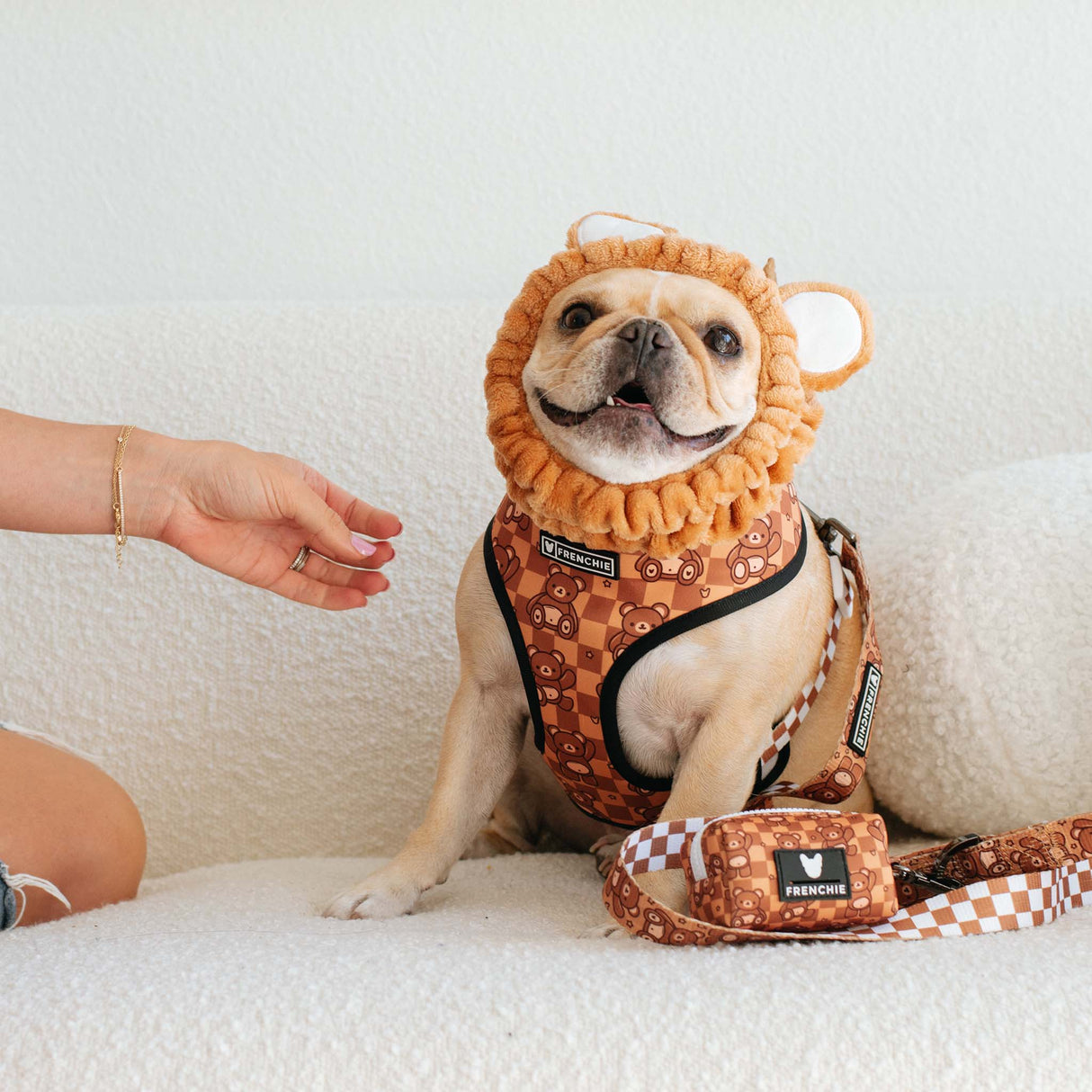 Frenchie Duo Reversible Harness - Teddy Bear from Frenchie Bulldog