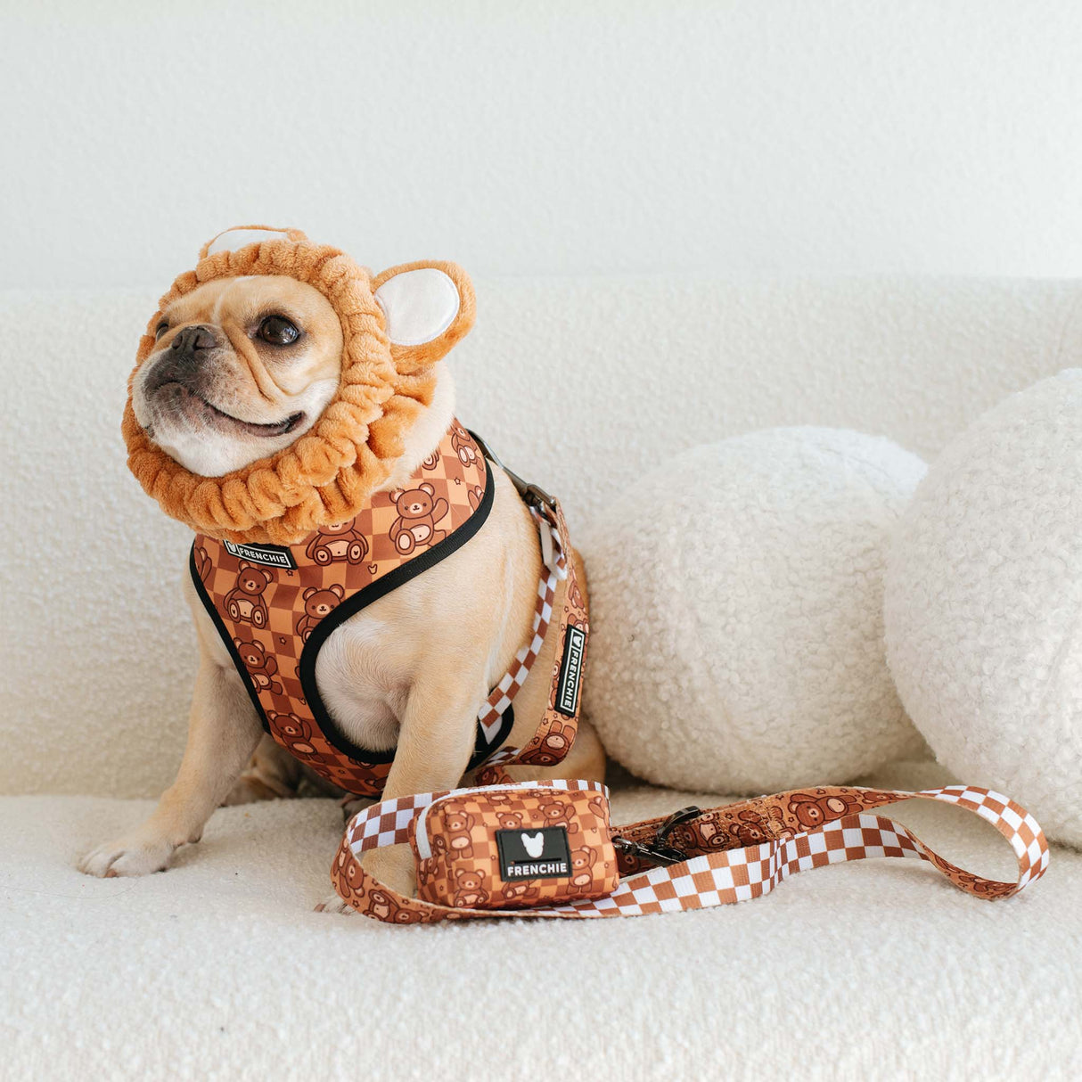 Frenchie Comfort Leash - Teddy Bear from Frenchie Bulldog