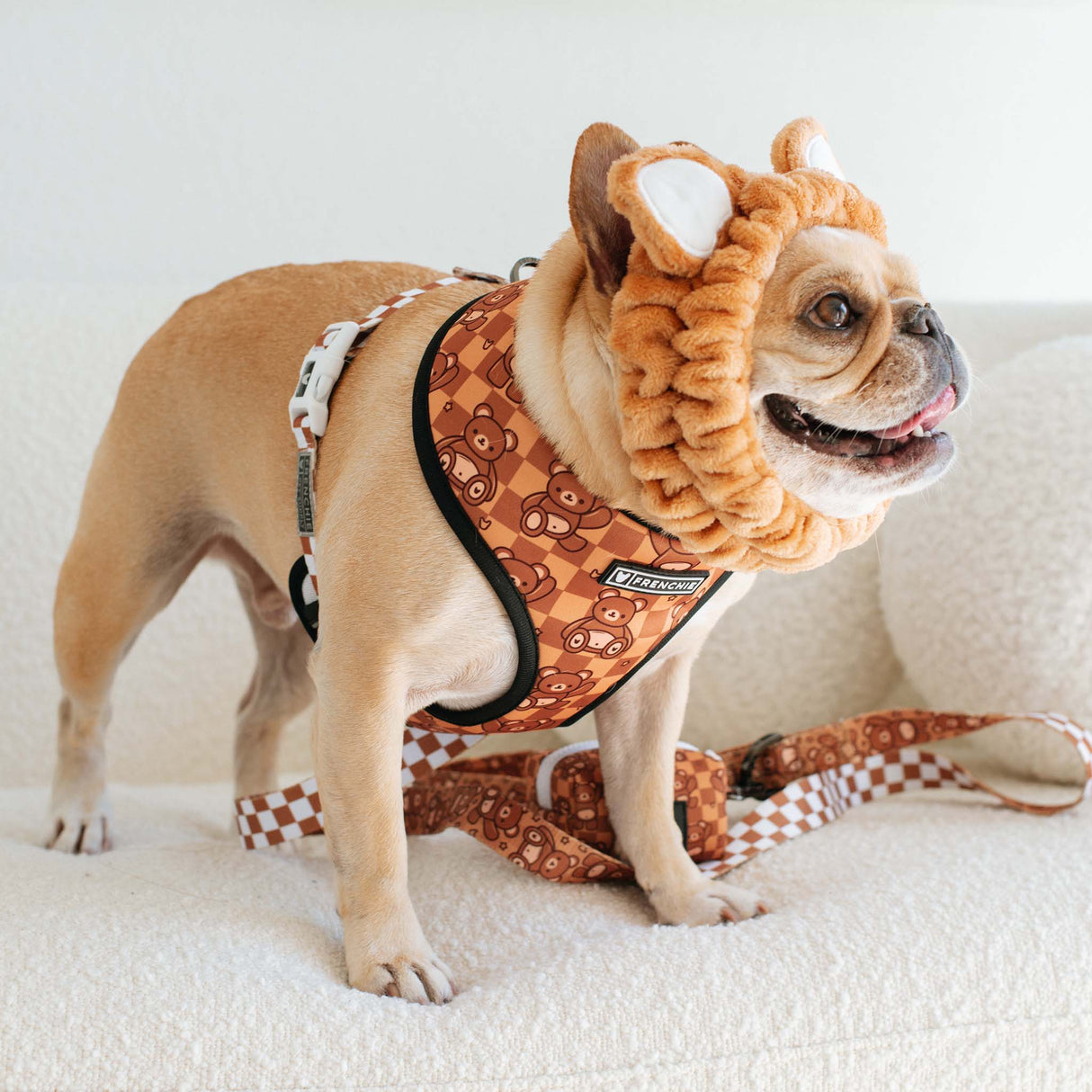 Frenchie Duo Reversible Harness - Teddy Bear from Frenchie Bulldog