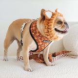 Frenchie Duo Reversible Harness - Teddy Bear from Frenchie Bulldog