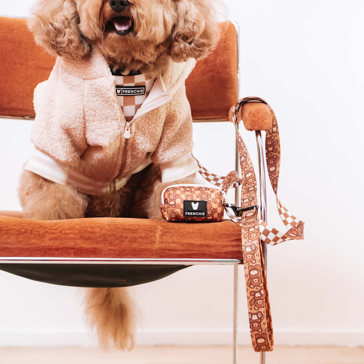 Frenchie Comfort Leash - Teddy Bear from Frenchie Bulldog