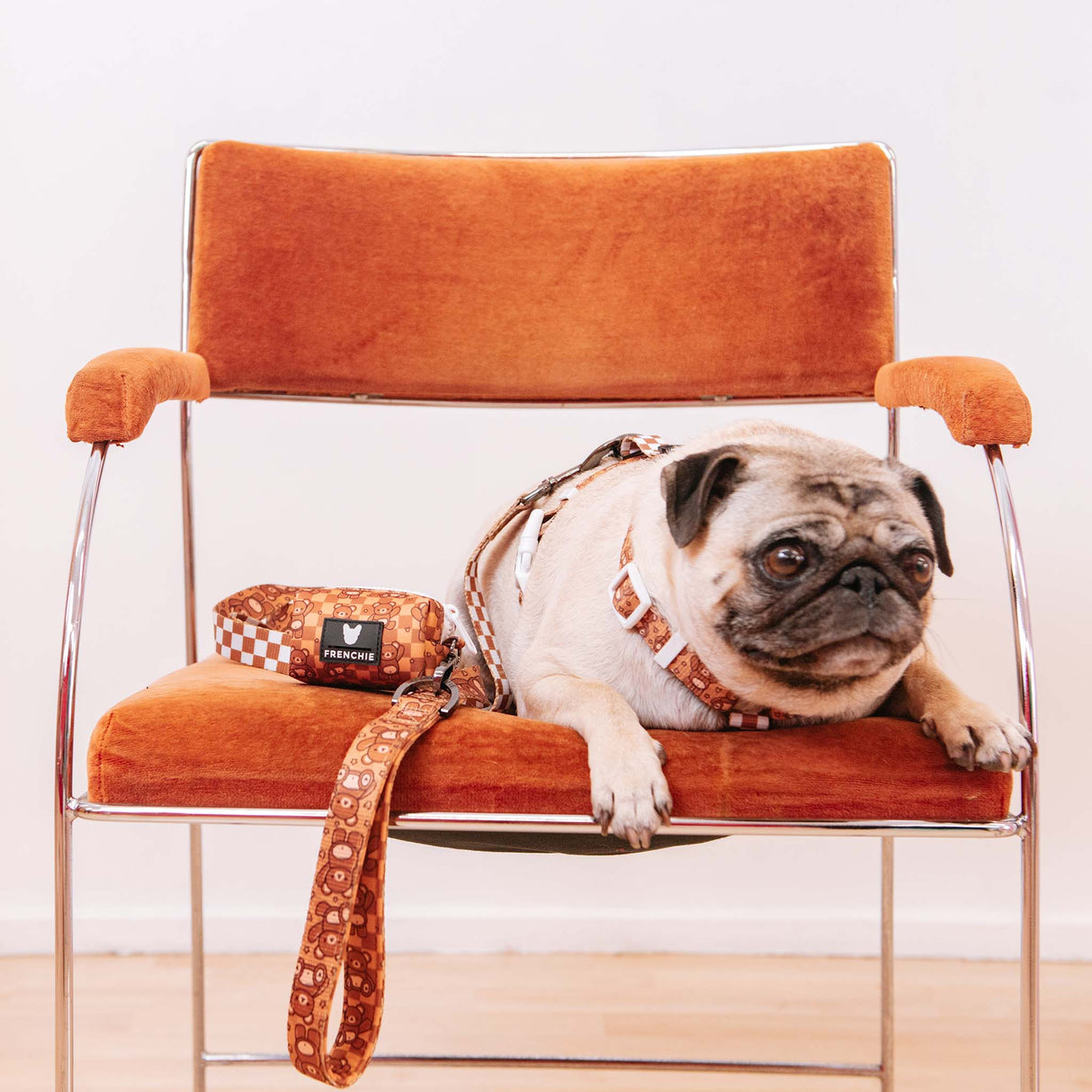 Frenchie Poo Bag Holder - Teddy Bear from Frenchie Bulldog
