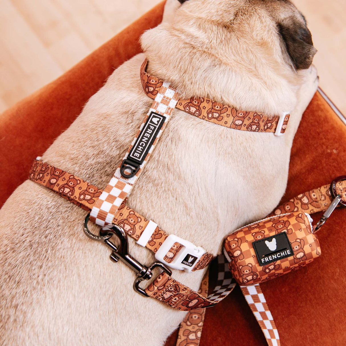 Frenchie Strap Harness - Teddy Bear from Frenchie Bulldog