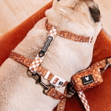 Frenchie Strap Harness - Teddy Bear from Frenchie Bulldog