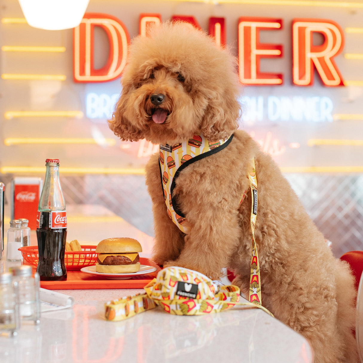 Frenchie Duo Reversible Harness - Burger N Fries from Frenchie Bulldog