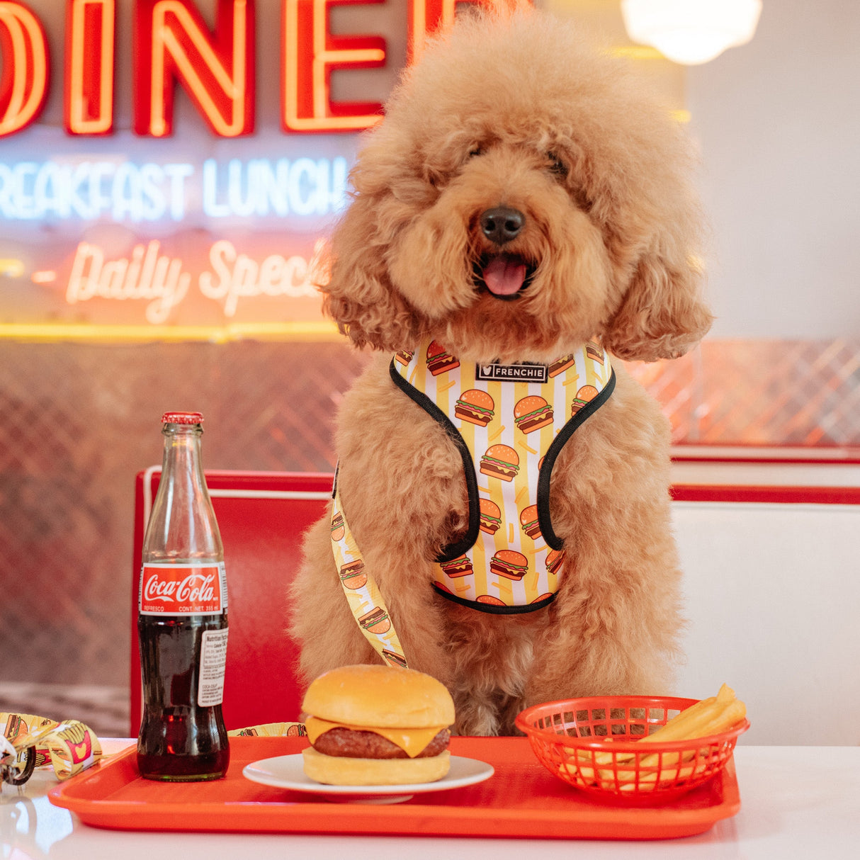 Frenchie Duo Reversible Harness - Burger N Fries from Frenchie Bulldog