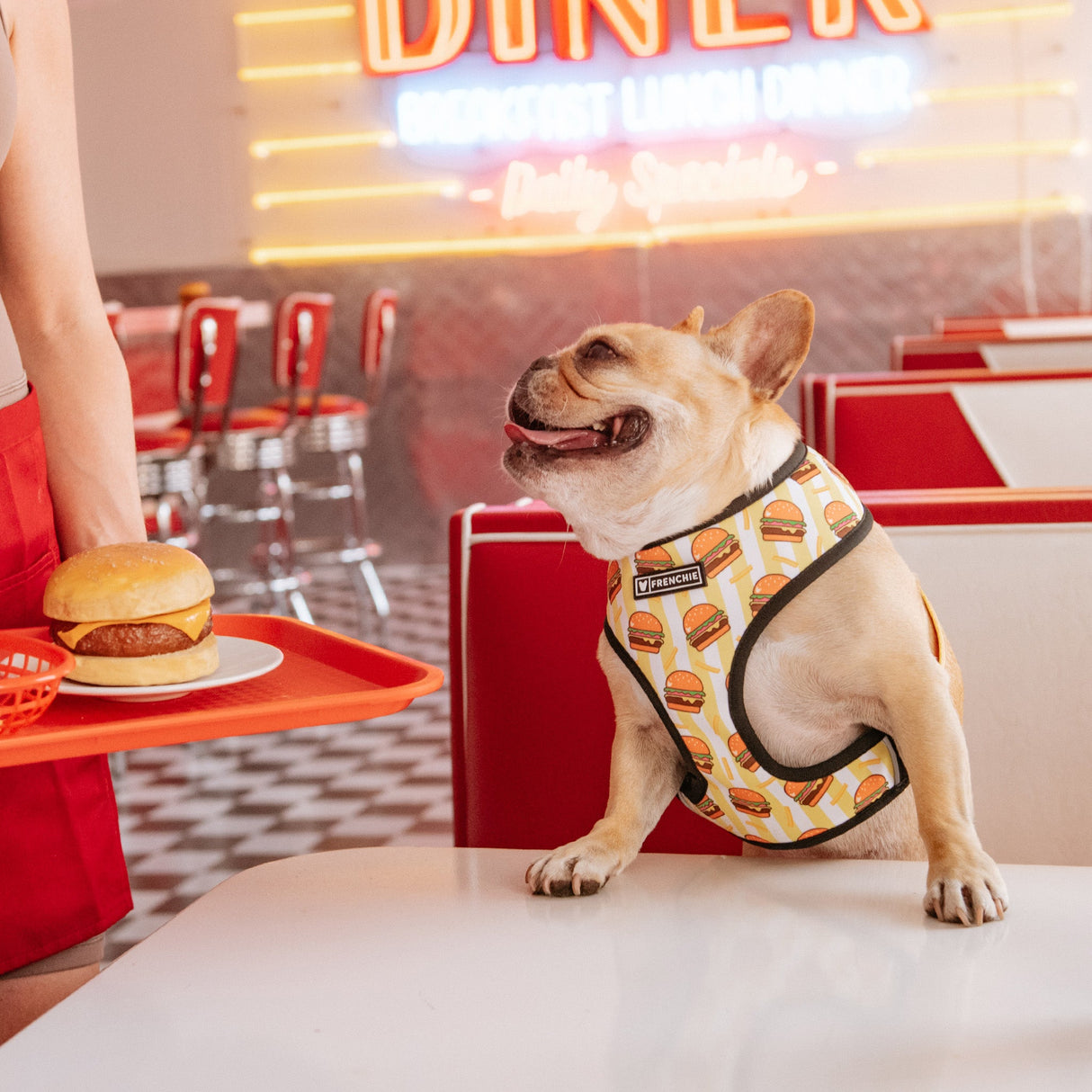 Frenchie Duo Reversible Harness - Burger N Fries from Frenchie Bulldog