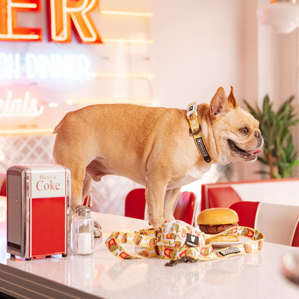 Frenchie Comfort Collar - Burger N Fries from Frenchie Bulldog