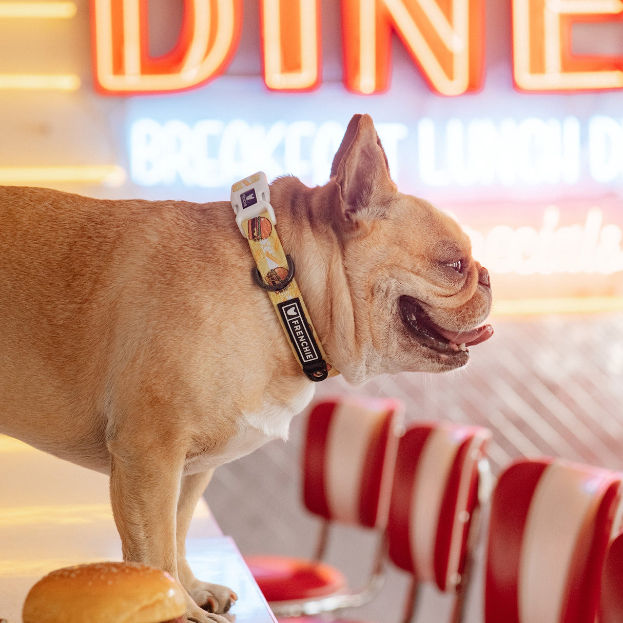 Frenchie Comfort Collar - Burger N Fries from Frenchie Bulldog