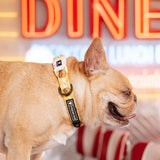Frenchie Comfort Collar - Burger N Fries from Frenchie Bulldog
