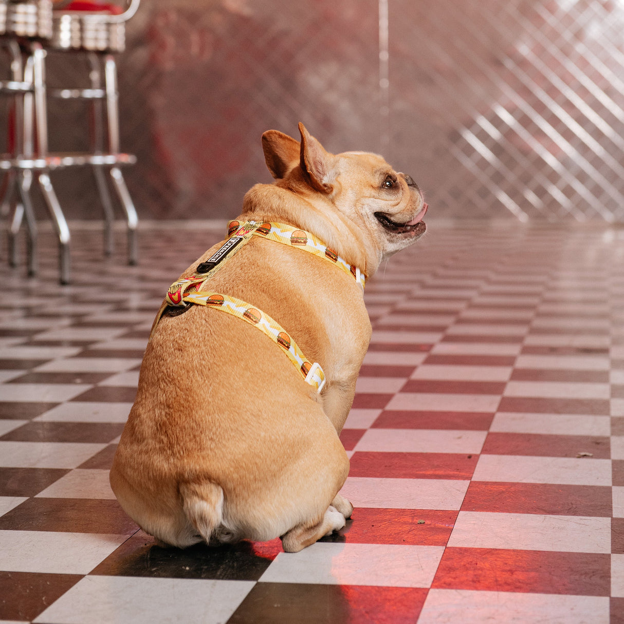 Frenchie Strap Harness - Burger N Fries from Frenchie Bulldog