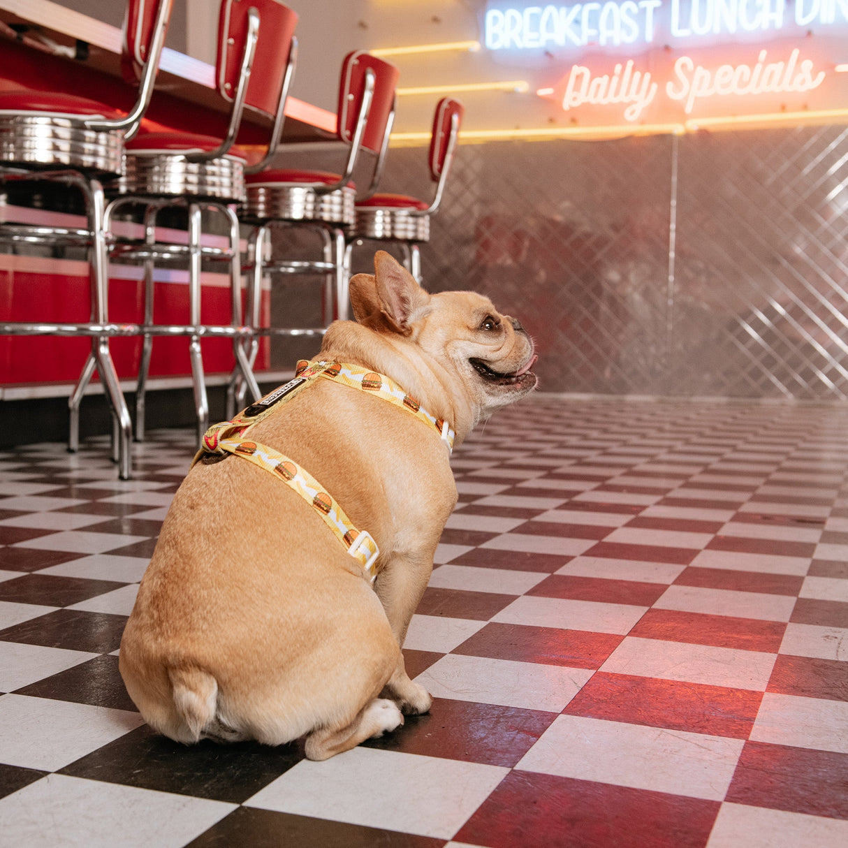 Frenchie Strap Harness - Burger N Fries from Frenchie Bulldog