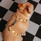 Frenchie Strap Harness - Burger N Fries from Frenchie Bulldog