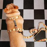 Frenchie Strap Harness - Burger N Fries from Frenchie Bulldog