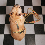 Frenchie Strap Harness - Burger N Fries from Frenchie Bulldog